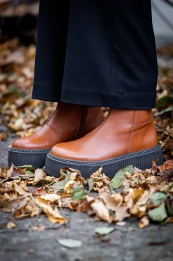 Alina Ankle boots — Cognac