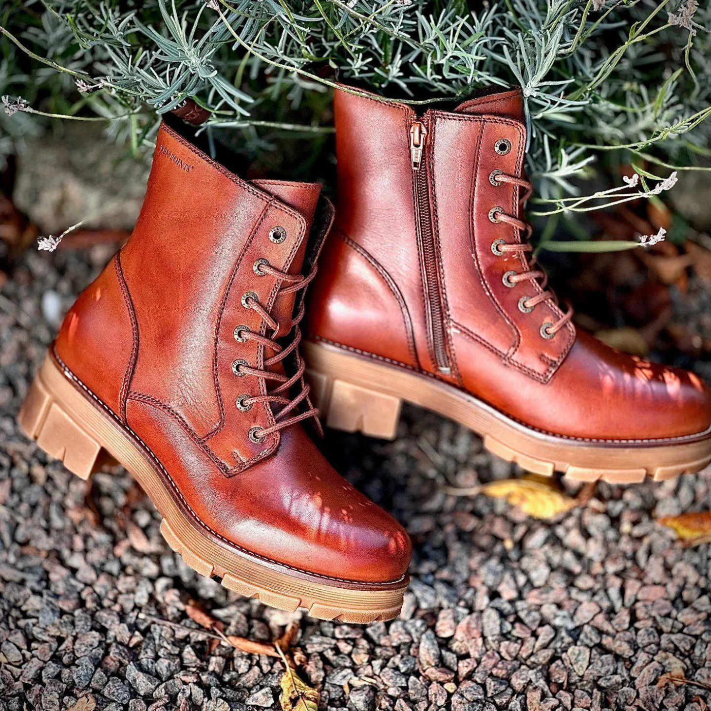 Cecilia Laced boots — Cognac