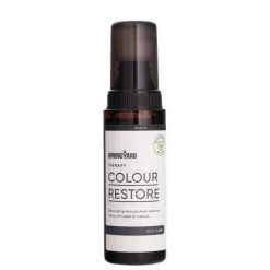 Colour Restore Shoe care — Black