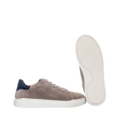 Isolde Sneakers — Taupe