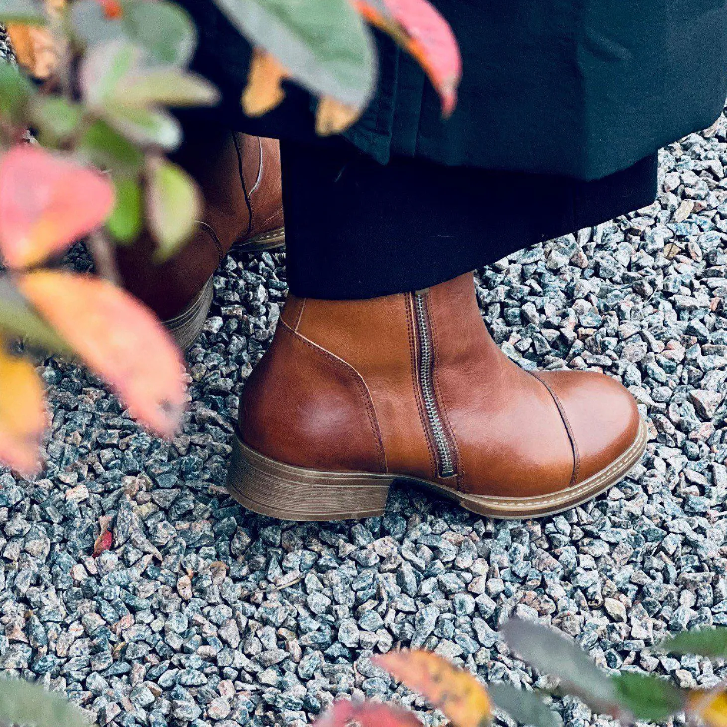 Pandora Ankle boots — Cognac