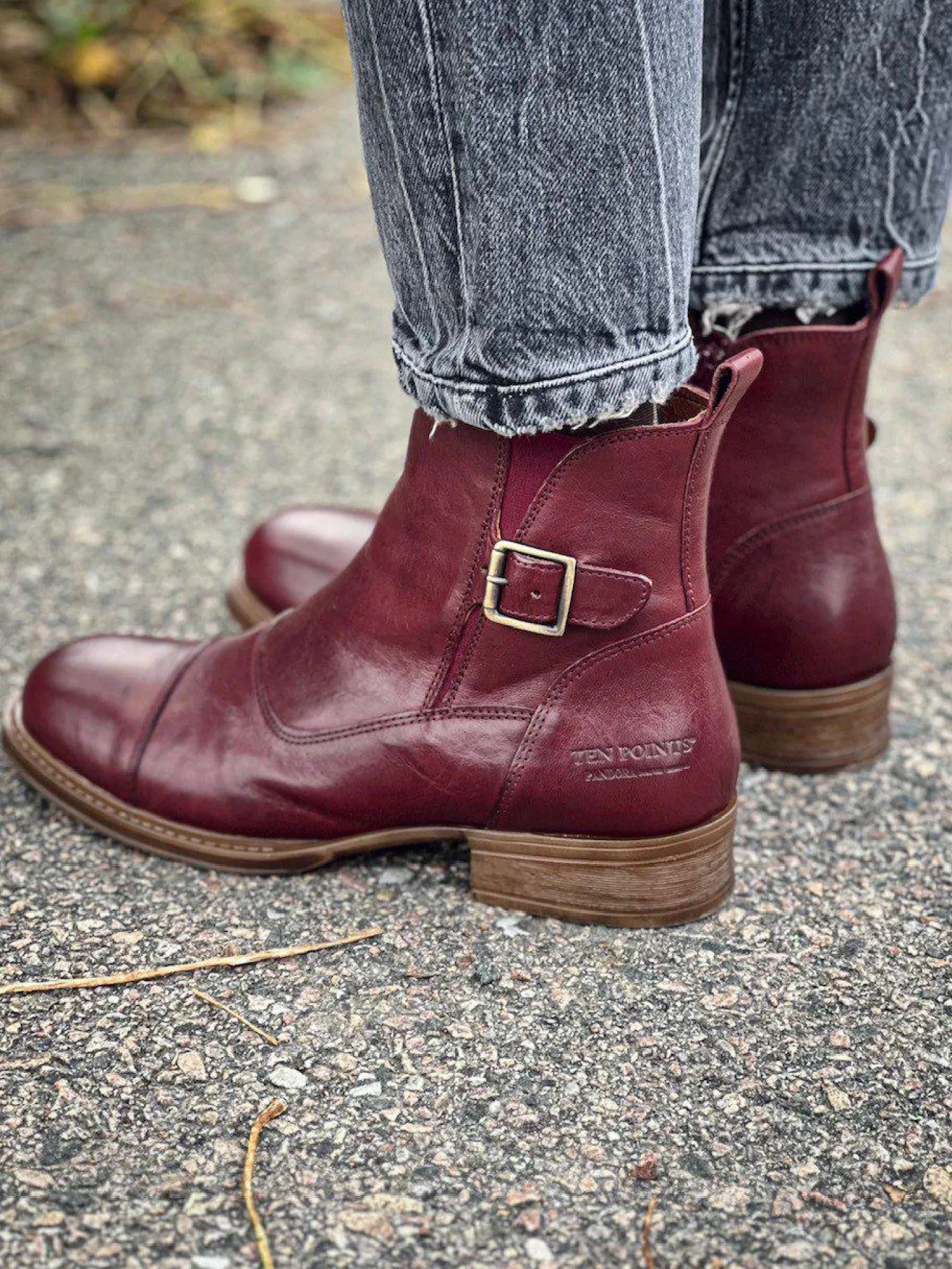 Pandora Ankle boots — Dark red